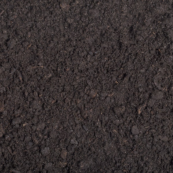 compost can be used as mulch in your garden to help retain moisture, suppress weeds, and provide nutrients to plants